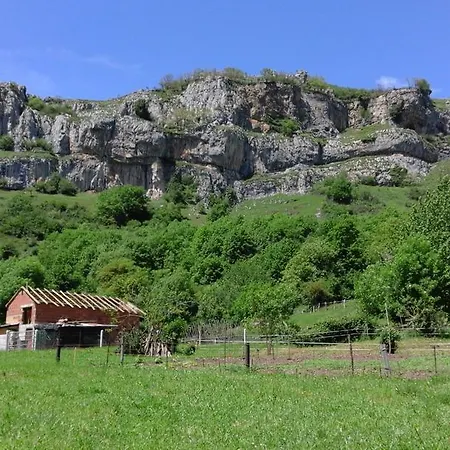 カントリーハウス Casa Narzana *